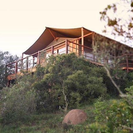 Addo Elephant Lodge & Safaris Kirkwood Екстер'єр фото