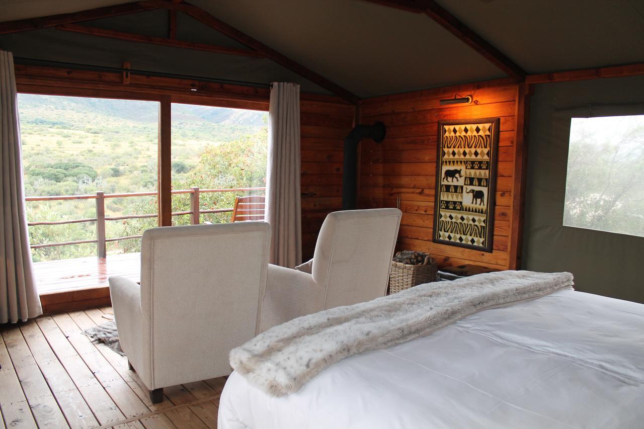 Addo Elephant Lodge & Safaris Kirkwood Екстер'єр фото