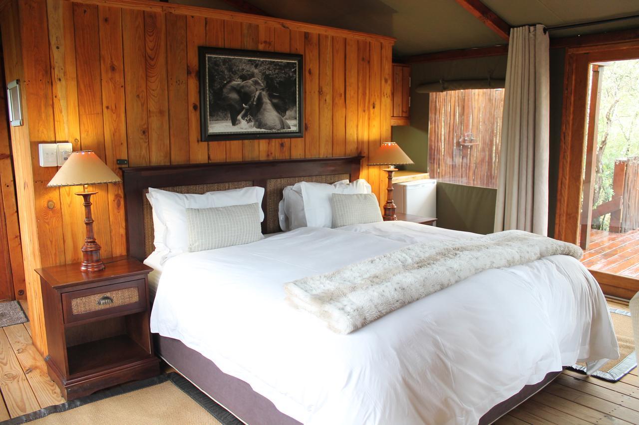 Addo Elephant Lodge & Safaris Kirkwood Екстер'єр фото