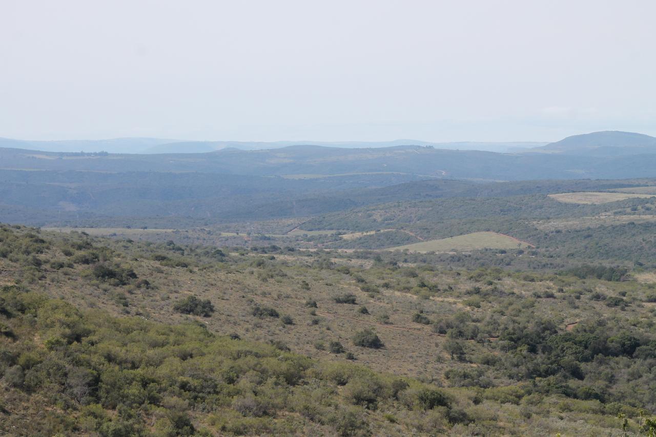 Addo Elephant Lodge & Safaris Kirkwood Екстер'єр фото
