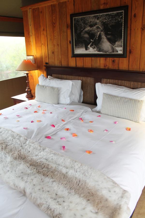 Addo Elephant Lodge & Safaris Kirkwood Екстер'єр фото