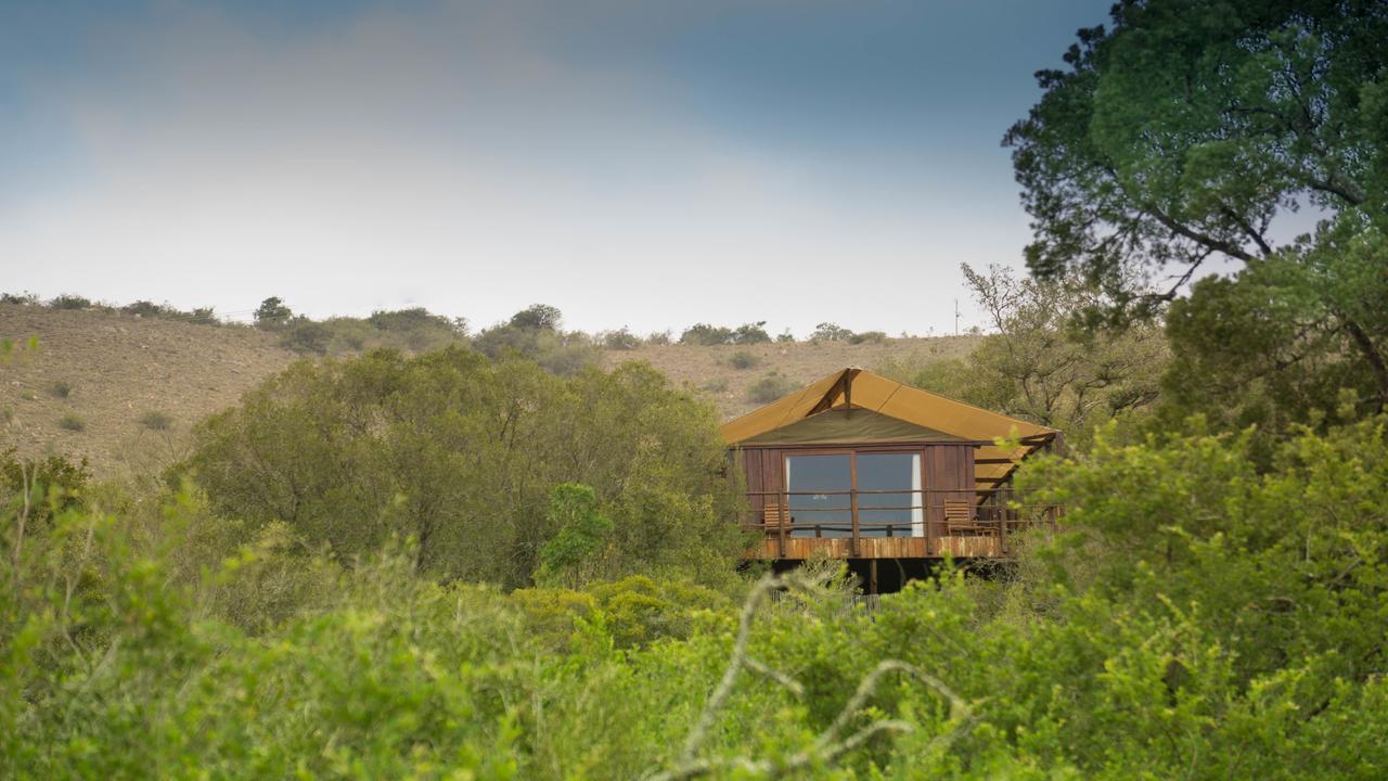 Addo Elephant Lodge & Safaris Kirkwood Екстер'єр фото