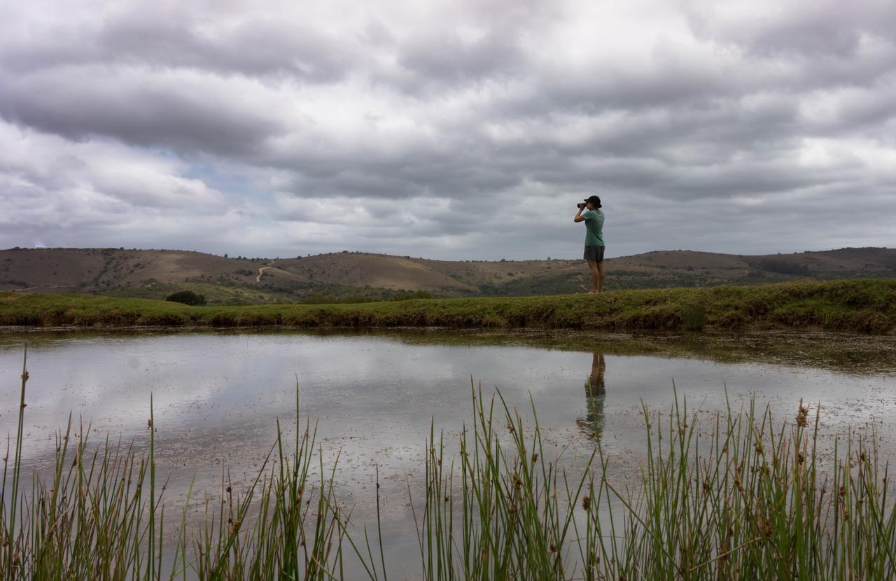 Addo Elephant Lodge & Safaris Kirkwood Екстер'єр фото