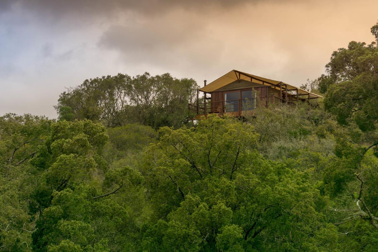 Addo Elephant Lodge & Safaris Kirkwood Екстер'єр фото