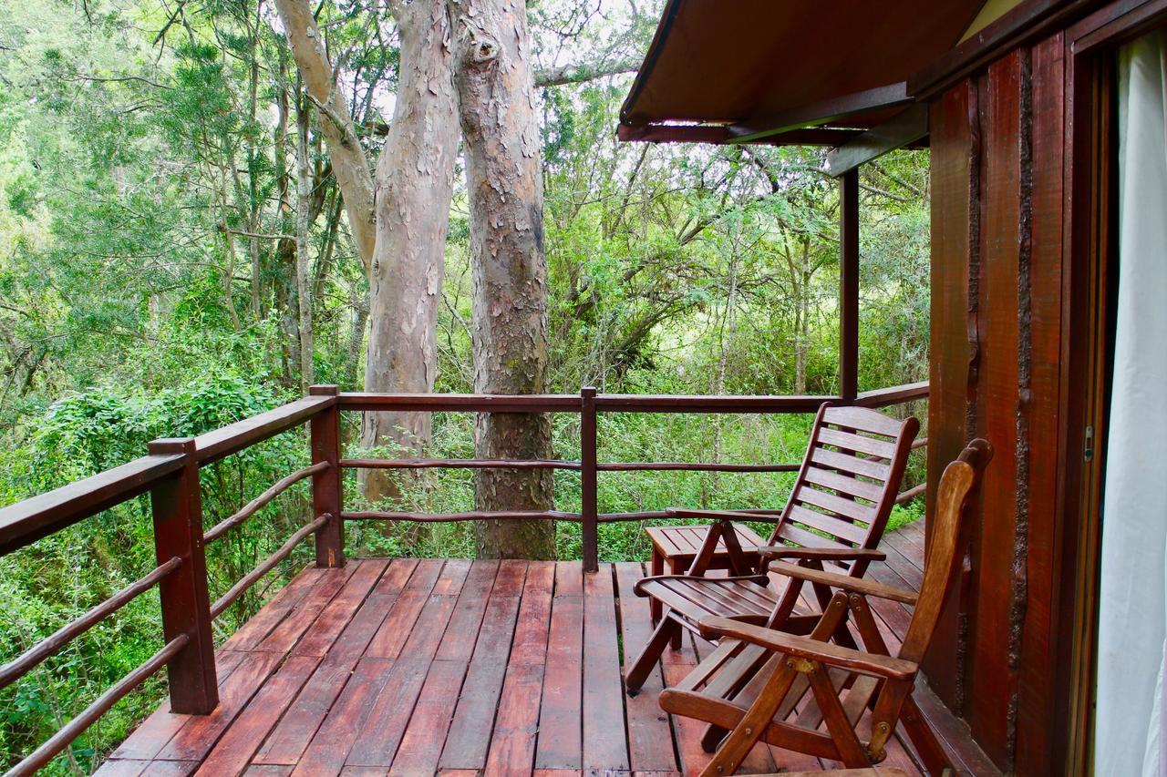 Addo Elephant Lodge & Safaris Kirkwood Екстер'єр фото