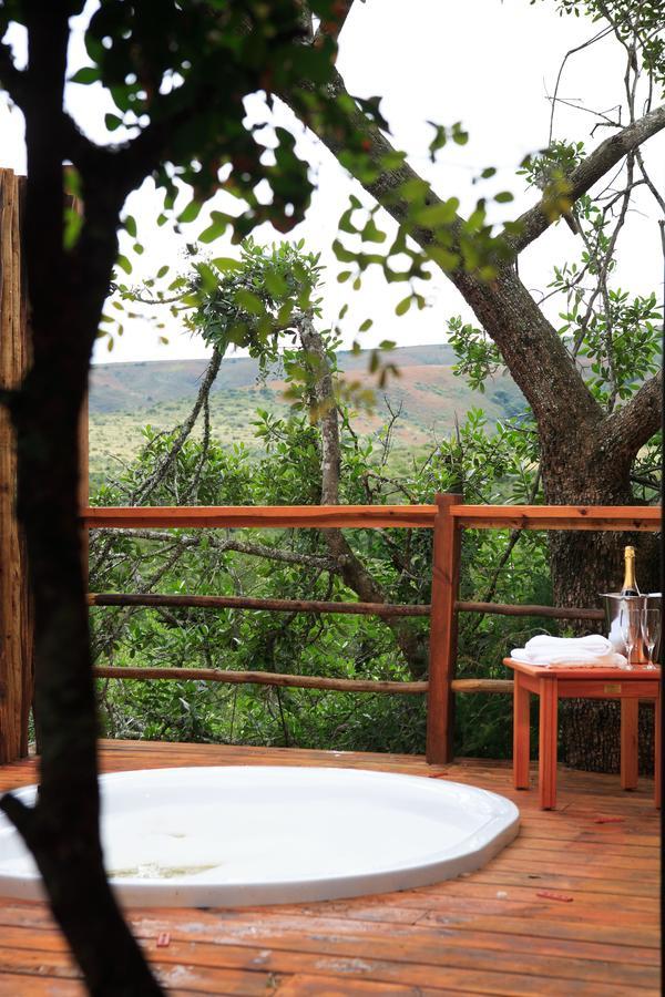 Addo Elephant Lodge & Safaris Kirkwood Екстер'єр фото